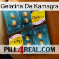 Kamagra Jelly cialis5